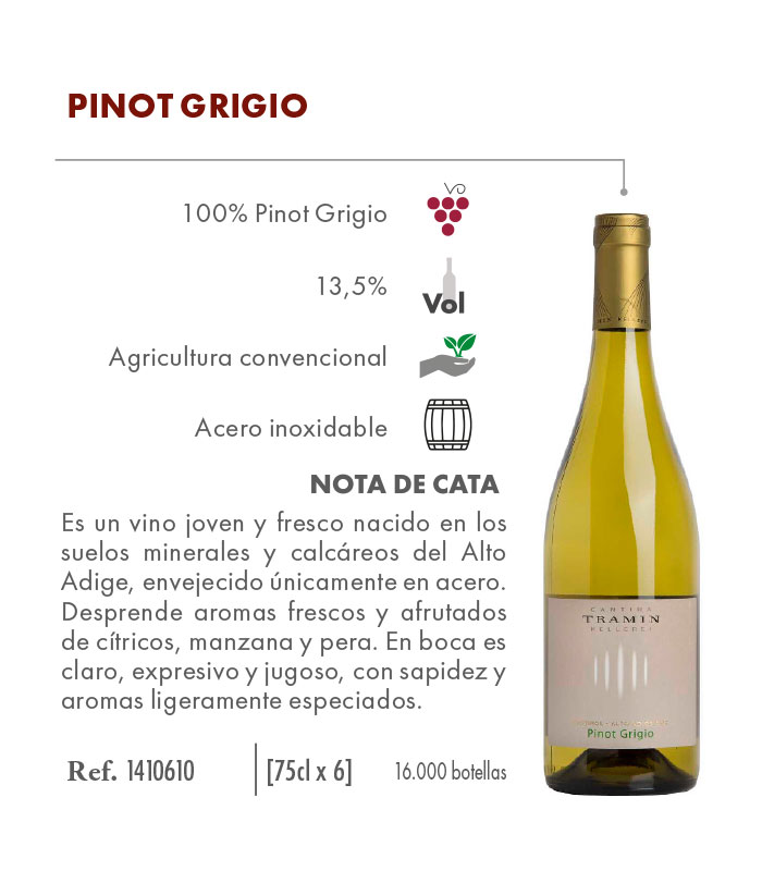 4-TRAMIN_Pinot-Grigio